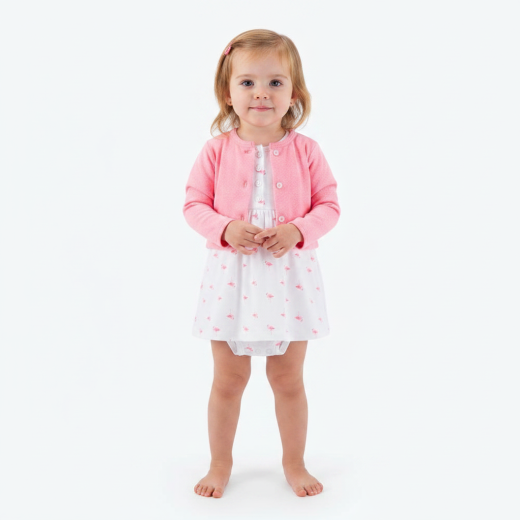 Flamingo Baby Dress Set